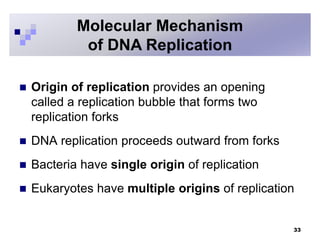  Origin of replication provides an opening
called a replication bubble that forms two
replication forks
 DNA replication proceeds outward from forks
 Bacteria have single origin of replication
 Eukaryotes have multiple origins of replication
33
Molecular Mechanism
of DNA Replication
 
