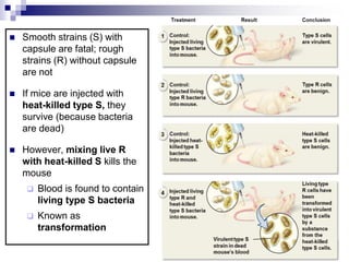  Smooth strains (S) with
capsule are fatal; rough
strains (R) without capsule
are not
 If mice are injected with
heat-killed type S, they
survive (because bacteria
are dead)
 However, mixing live R
with heat-killed S kills the
mouse
 Blood is found to contain
living type S bacteria
 Known as
transformation
4
 