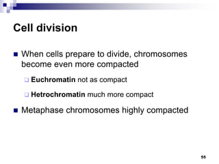 Cell division
 When cells prepare to divide, chromosomes
become even more compacted
 Euchromatin not as compact
 Hetrochromatin much more compact
 Metaphase chromosomes highly compacted
55
 