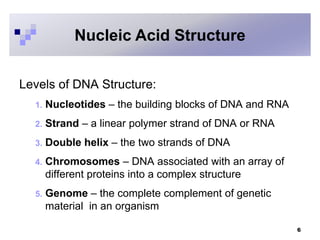 Levels of DNA Structure:
1. Nucleotides – the building blocks of DNA and RNA
2. Strand – a linear polymer strand of DNA or RNA
3. Double helix – the two strands of DNA
4. Chromosomes – DNA associated with an array of
different proteins into a complex structure
5. Genome – the complete complement of genetic
material in an organism
6
Nucleic Acid Structure
 