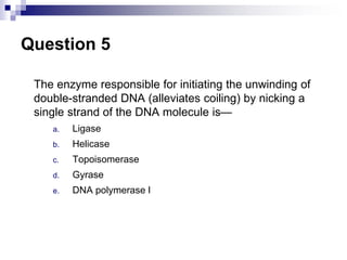 Question 5
The enzyme responsible for initiating the unwinding of
double-stranded DNA (alleviates coiling) by nicking a
single strand of the DNA molecule is—
a. Ligase
b. Helicase
c. Topoisomerase
d. Gyrase
e. DNA polymerase I
 