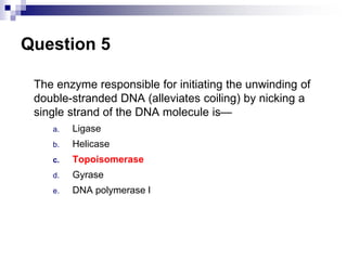Question 5
The enzyme responsible for initiating the unwinding of
double-stranded DNA (alleviates coiling) by nicking a
single strand of the DNA molecule is—
a. Ligase
b. Helicase
c. Topoisomerase
d. Gyrase
e. DNA polymerase I
 