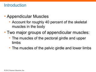 Introduction 
• Appendicular Muscles 
• Account for roughly 40 percent of the skeletal 
muscles in the body 
• Two major g...