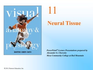© 2011 Pearson Education, Inc.
PowerPoint® Lecture Presentations prepared by
Alexander G. Cheroske
Mesa Community College at Red Mountain
11
Neural Tissue
 