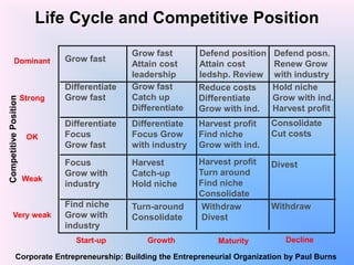 Ch11 life cycle and portfolio strategies | PDF