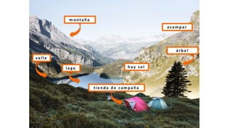 Ch 11 orientacion visual