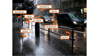 Ch 11 orientacion visual