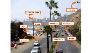 Ch 11 orientacion visual