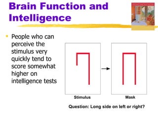 Brain Function and
 Intelligence
 People who can
  perceive the
  stimulus very
  quickly tend to
  score somewhat
  higher on
  intelligence tests

                         Stimulus                 Mask

                       Question: Long side on left or right?
 