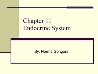 Chapter 11 Endocrine System By: Norma Gongora 