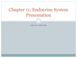 N O L A N M E I E R
Chapter 11: Endocrine System
Presentation
 