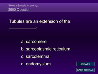 Skeletal Muscle Anatomy:
$500 Question
Tubules are an extension of the
___________.
a. sarcomere
b. sarcoplasmic reticulum
c. sarcolemma
d. endomysium
BACK TO GAME
ANSWER
 