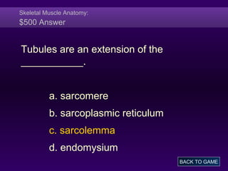 Skeletal Muscle Anatomy:
$500 Answer
Tubules are an extension of the
___________.
a. sarcomere
b. sarcoplasmic reticulum
c. sarcolemma
d. endomysium
BACK TO GAME
 