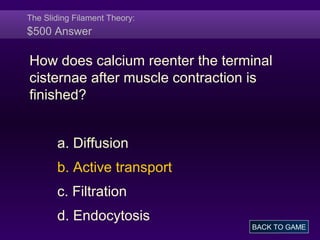 The Sliding Filament Theory:
$500 Answer
How does calcium reenter the terminal
cisternae after muscle contraction is
finished?
a. Diffusion
b. Active transport
c. Filtration
d. Endocytosis
BACK TO GAME
 