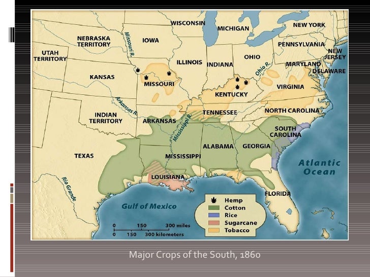 slavery in old south essay Essay about slavery: american civil war and slavery economics, and culture of slavery both in the white house and in the supreme court and the outrageous differences in opinions the north and south had the civil war was in fact inevitable. slavery in old south essay Essay about slavery: american civil war and slavery economics, and culture of slavery both in the white house and in the supreme court and the outrageous differences in opinions the north and south had the civil war was in fact inevitable.