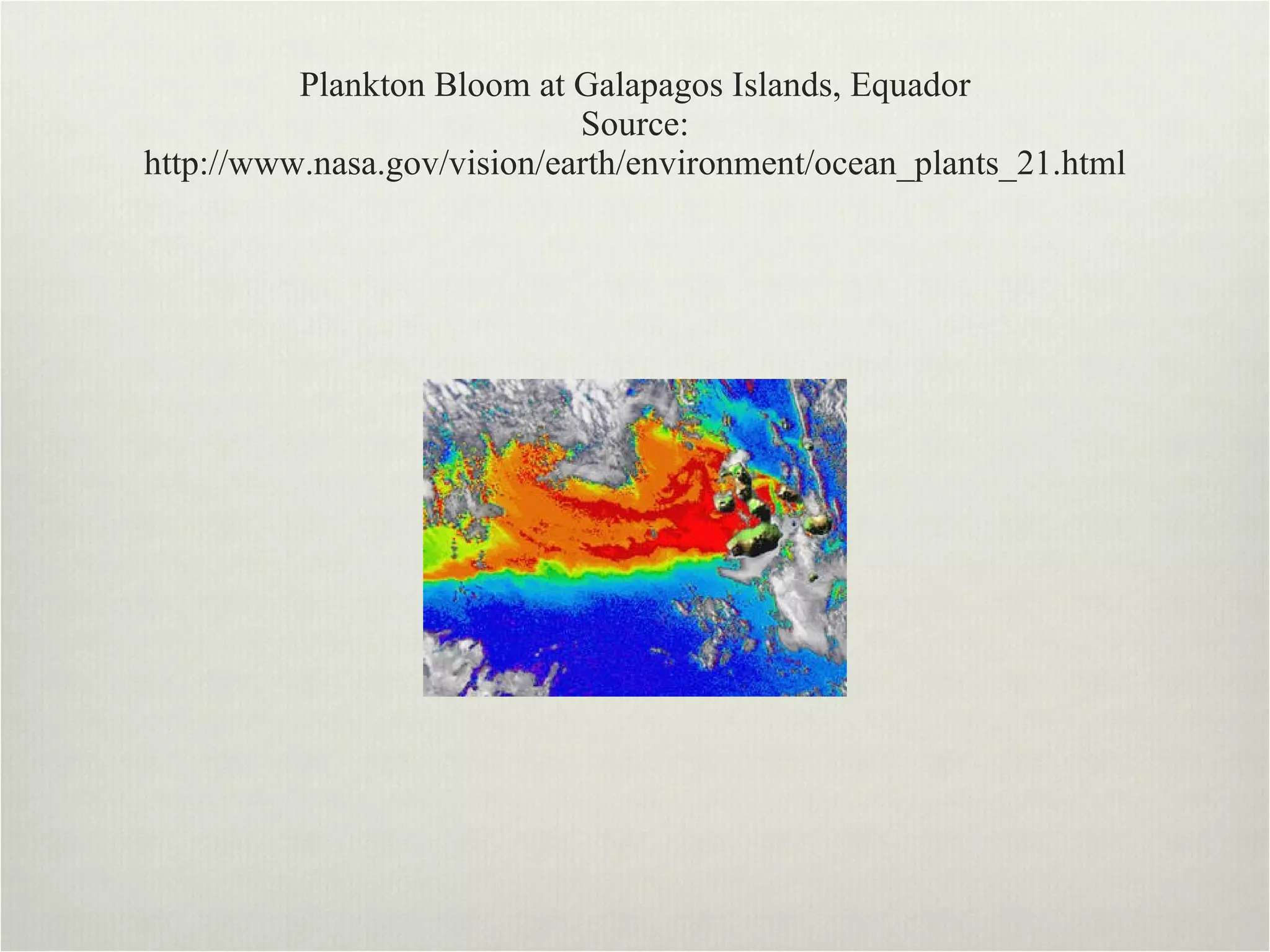 Plankton Bloom at Galapagos Islands, Equador Source: http://www.nasa.gov/vision/earth/environment/ocean_plants_21.html 