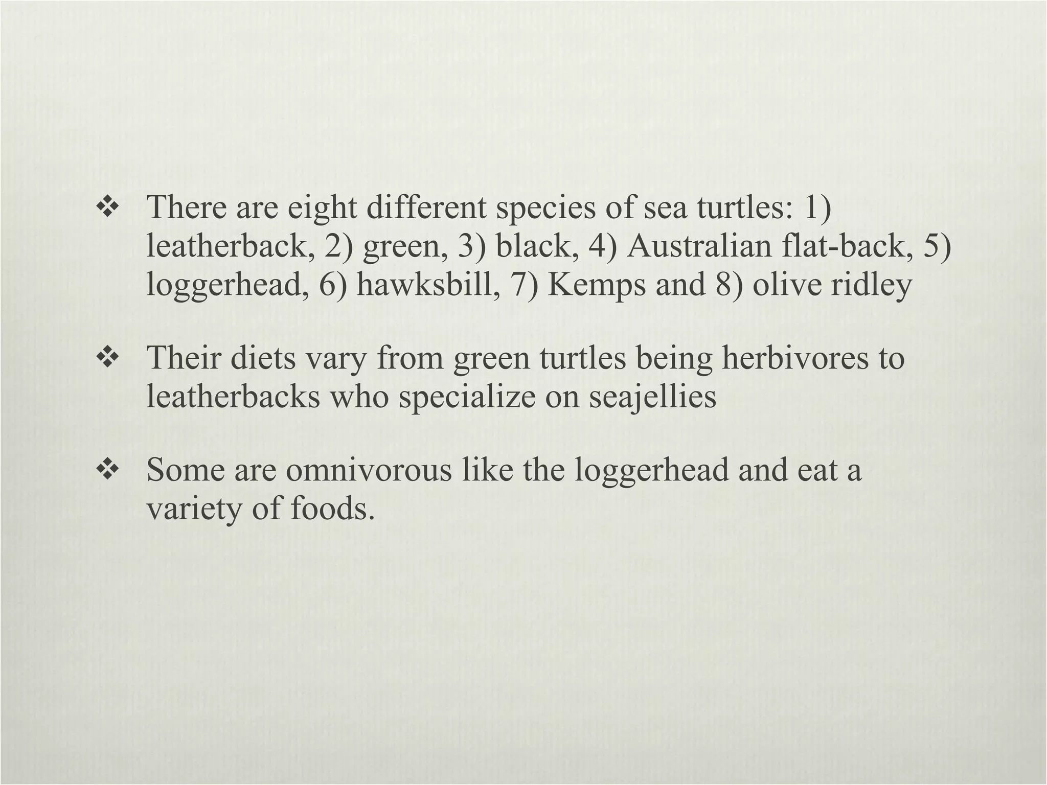 There are eight different species of sea turtles: 1) leatherback, 2) green, 3) black, 4) Australian flat-back, 5) loggerhead, 6) hawksbill, 7) Kemps and 8) olive ridley Their diets vary from green turtles being herbivores to leatherbacks who specialize on seajellies Some are omnivorous like the loggerhead and eat a variety of foods. 