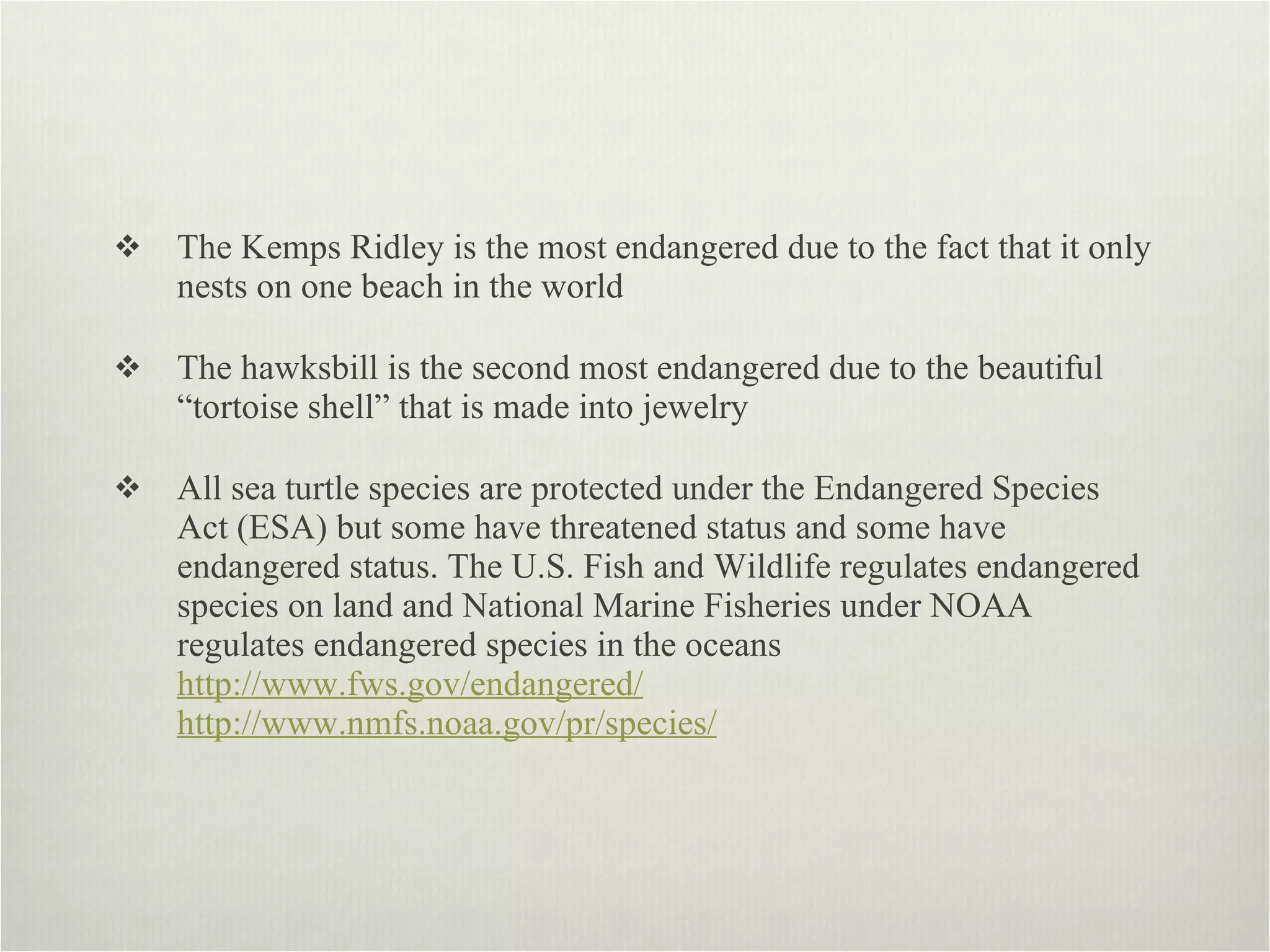 The Kemps Ridley is the most endangered due to the fact that it only nests on one beach in the world  The hawksbill is the second most endangered due to the beautiful “tortoise shell” that is made into jewelry All sea turtle species are protected under the Endangered Species Act (ESA) but some have threatened status and some have endangered status. The U.S. Fish and Wildlife regulates endangered species on land and National Marine Fisheries under NOAA regulates endangered species in the oceans  http://www.fws.gov/endangered/   http://www.nmfs.noaa.gov/pr/species/   