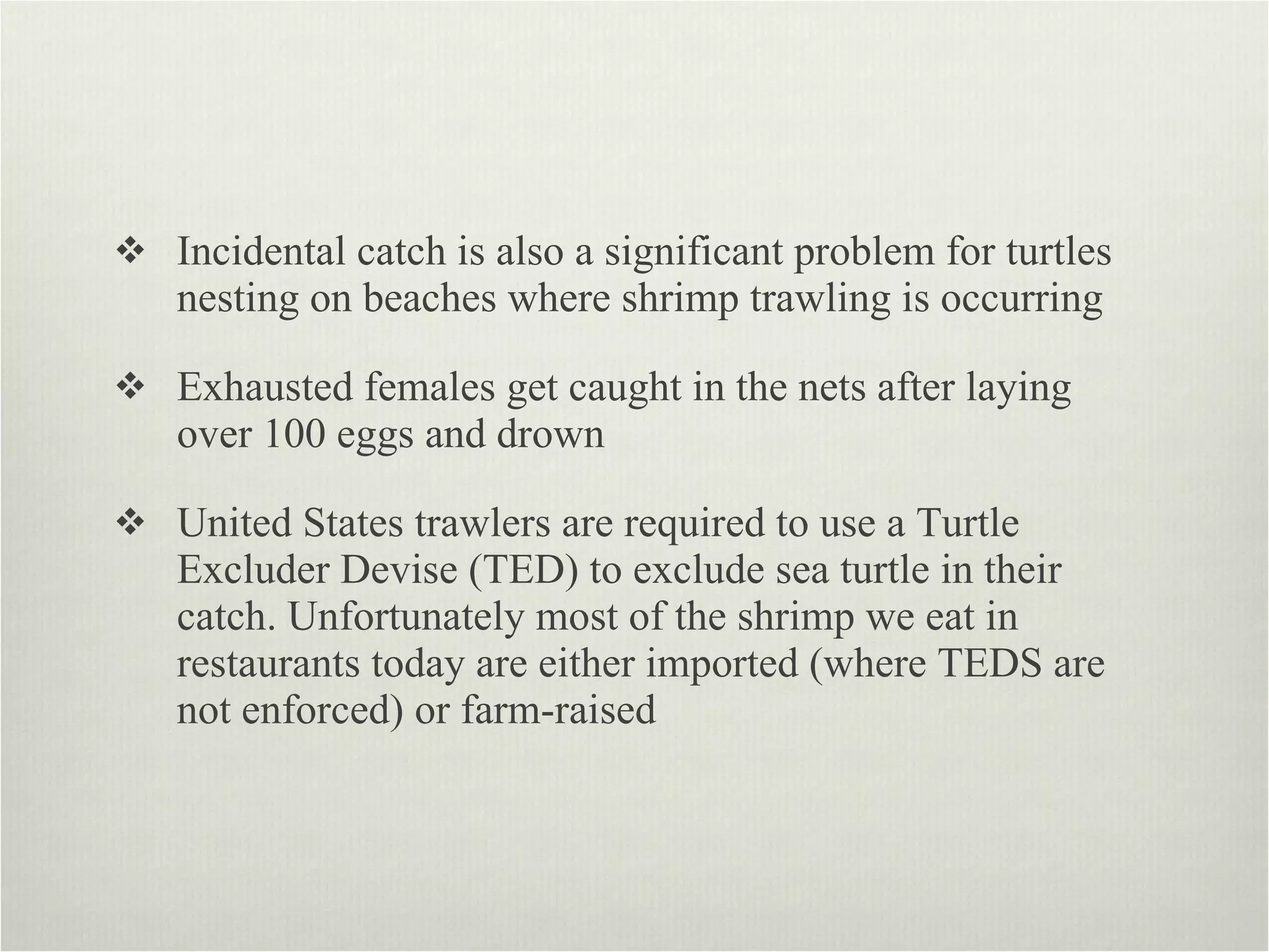 Incidental catch is also a significant problem for turtles nesting on beaches where shrimp trawling is occurring Exhausted females get caught in the nets after laying over 100 eggs and drown United States trawlers are required to use a Turtle Excluder Devise (TED) to exclude sea turtle in their catch. Unfortunately most of the shrimp we eat in restaurants today are either imported (where TEDS are not enforced) or farm-raised 