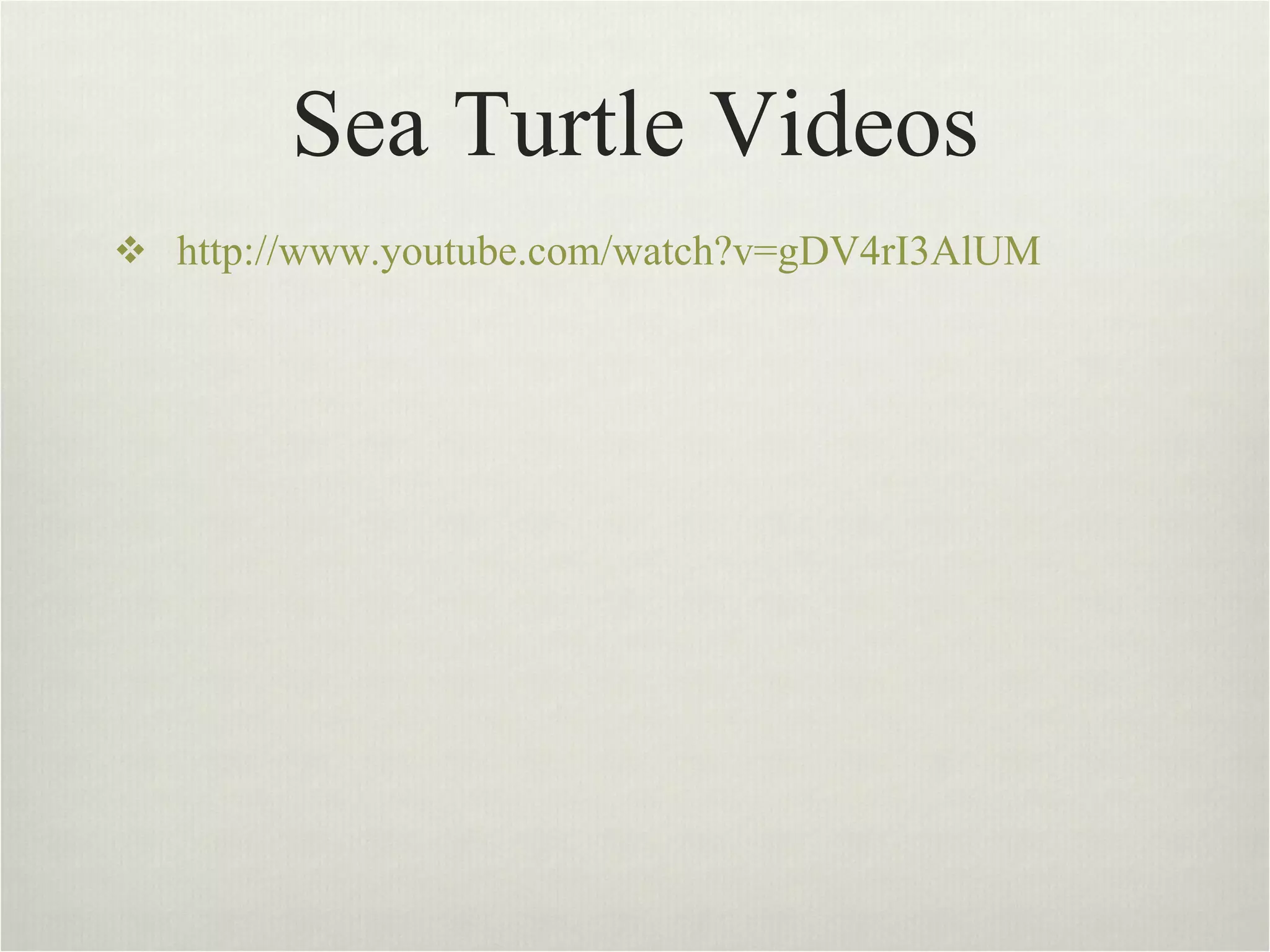 Sea Turtle Videos http://www.youtube.com/watch?v=gDV4rI3AlUM 