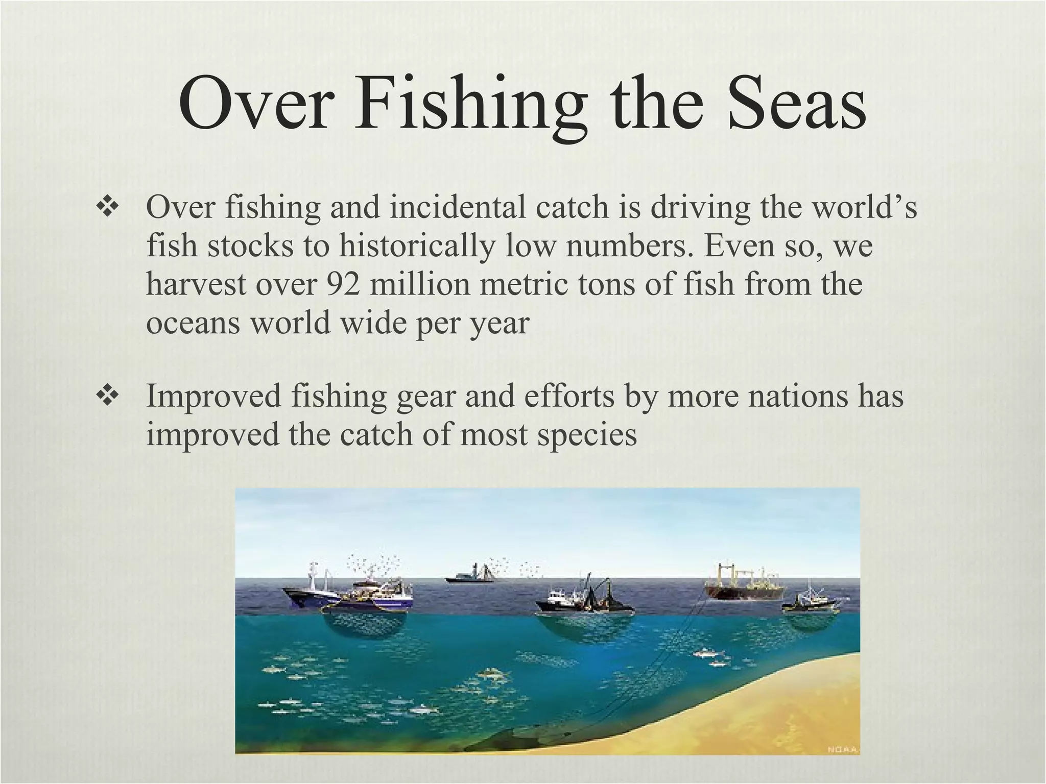 Over Fishing the Seas Over fishing and incidental catch is driving the world’s fish stocks to historically low numbers. Even so, we harvest over 92 million metric tons of fish from the oceans world wide per year  Improved fishing gear and efforts by more nations has improved the catch of most species  