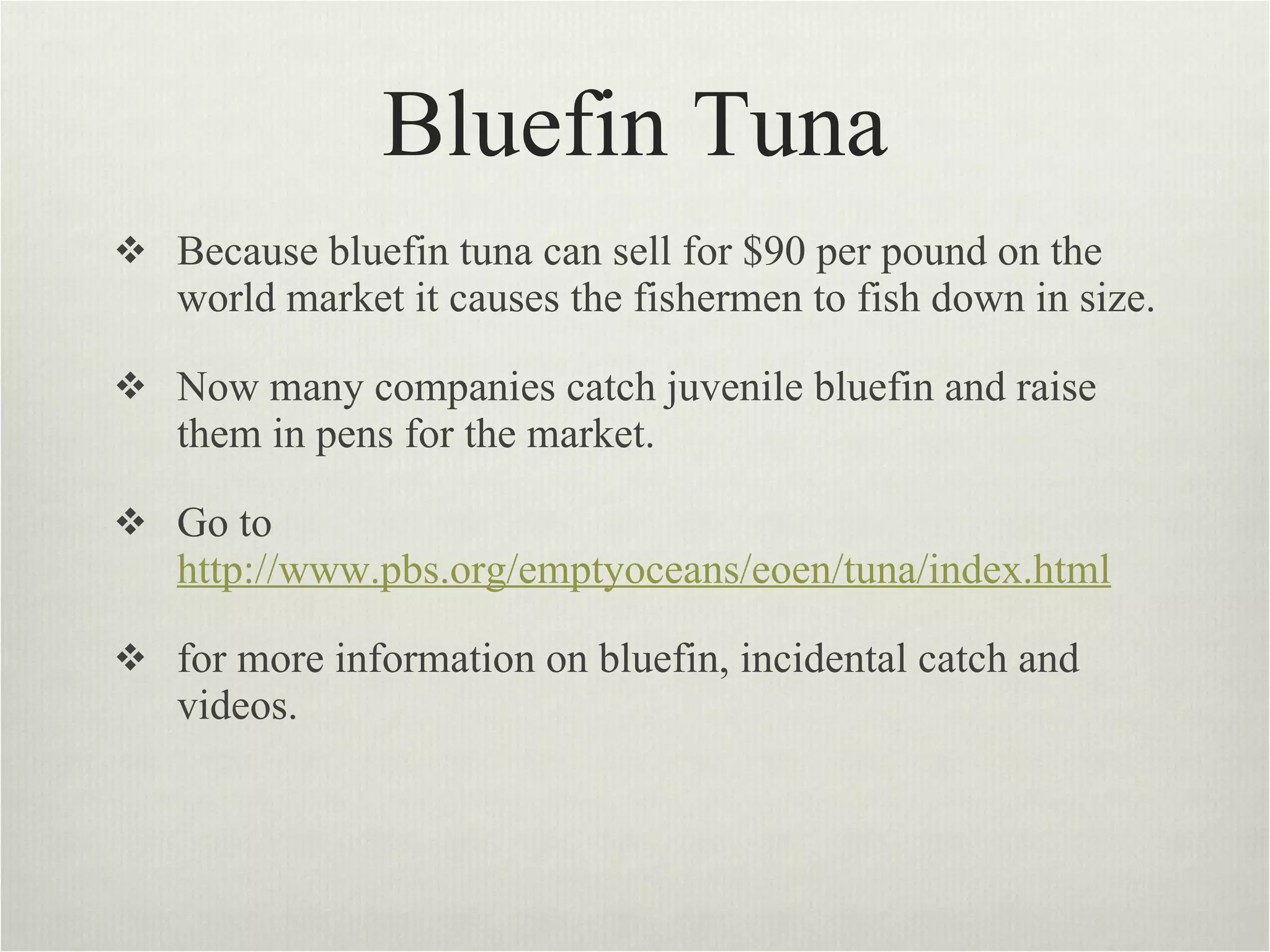 Bluefin Tuna Because bluefin tuna can sell for $90 per pound on the world market it causes the fishermen to fish down in size.  Now many companies catch juvenile bluefin and raise them in pens for the market.  Go to  http://www.pbs.org/emptyoceans/eoen/tuna/index.html   for more information on bluefin, incidental catch and videos.  