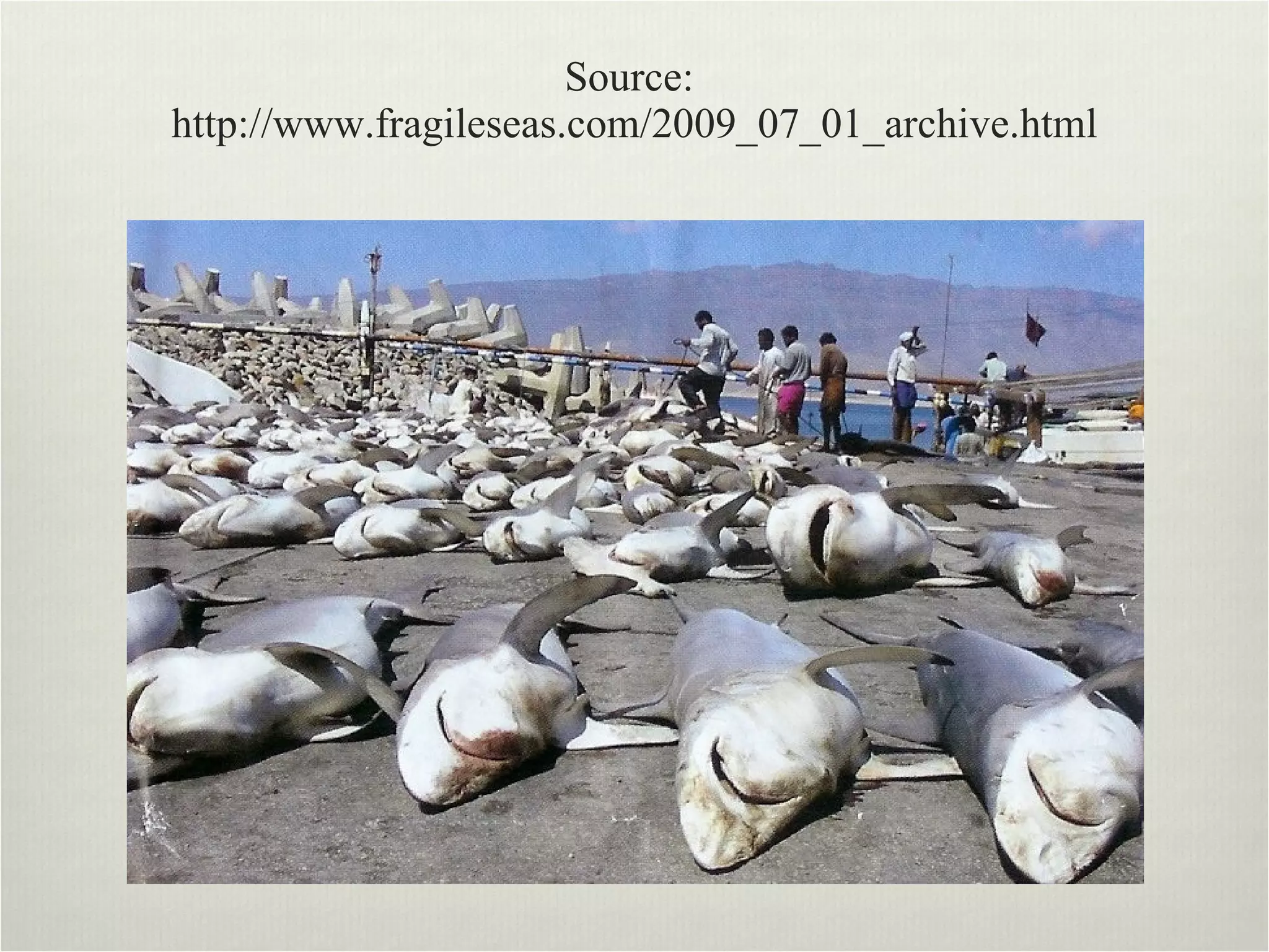 Source:  http://www.fragileseas.com/2009_07_01_archive.html 