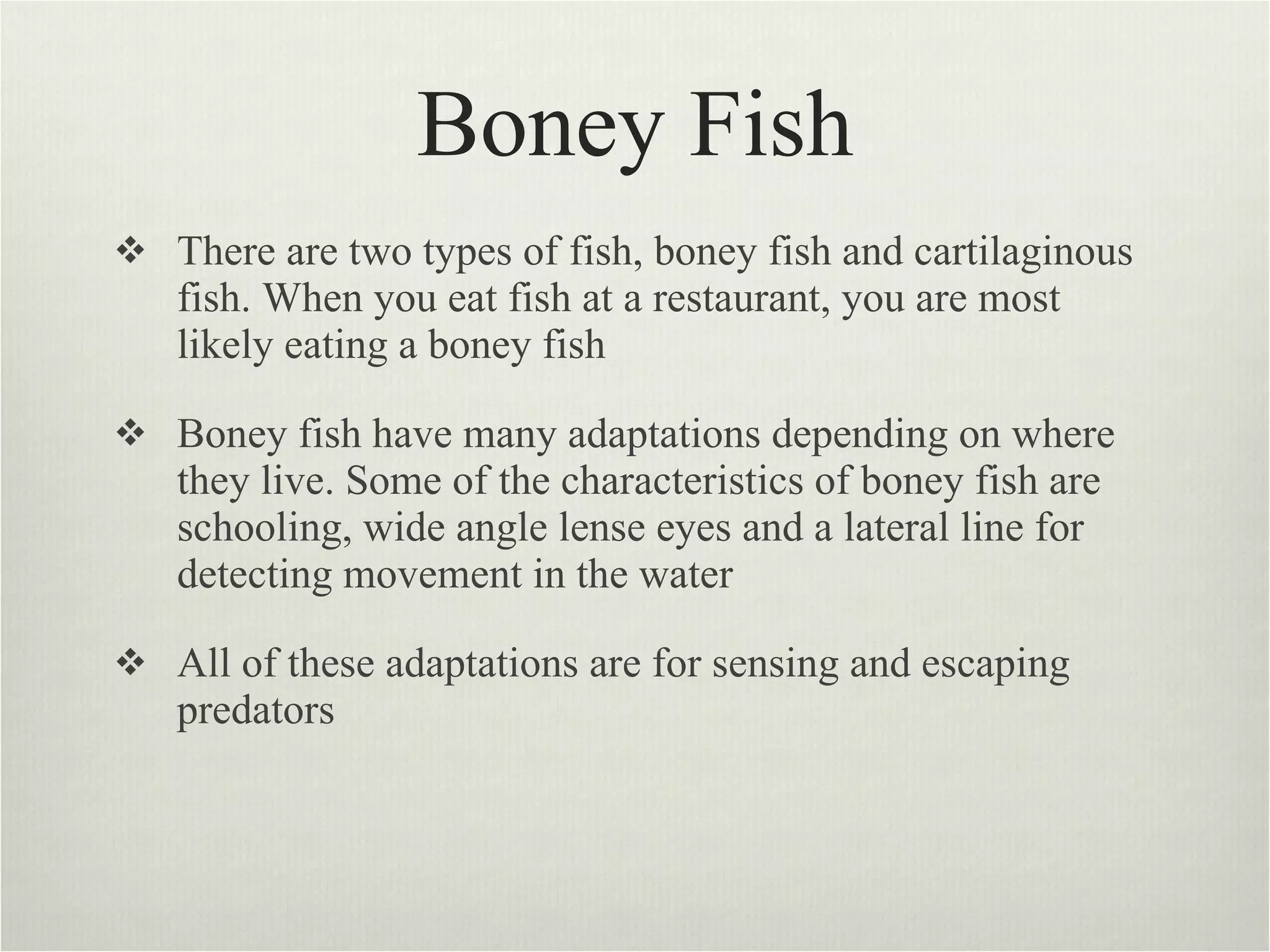Boney Fish There are two types of fish, boney fish and cartilaginous fish. When you eat fish at a restaurant, you are most likely eating a boney fish  Boney fish have many adaptations depending on where they live. Some of the characteristics of boney fish are schooling, wide angle lense eyes and a lateral line for detecting movement in the water  All of these adaptations are for sensing and escaping predators  