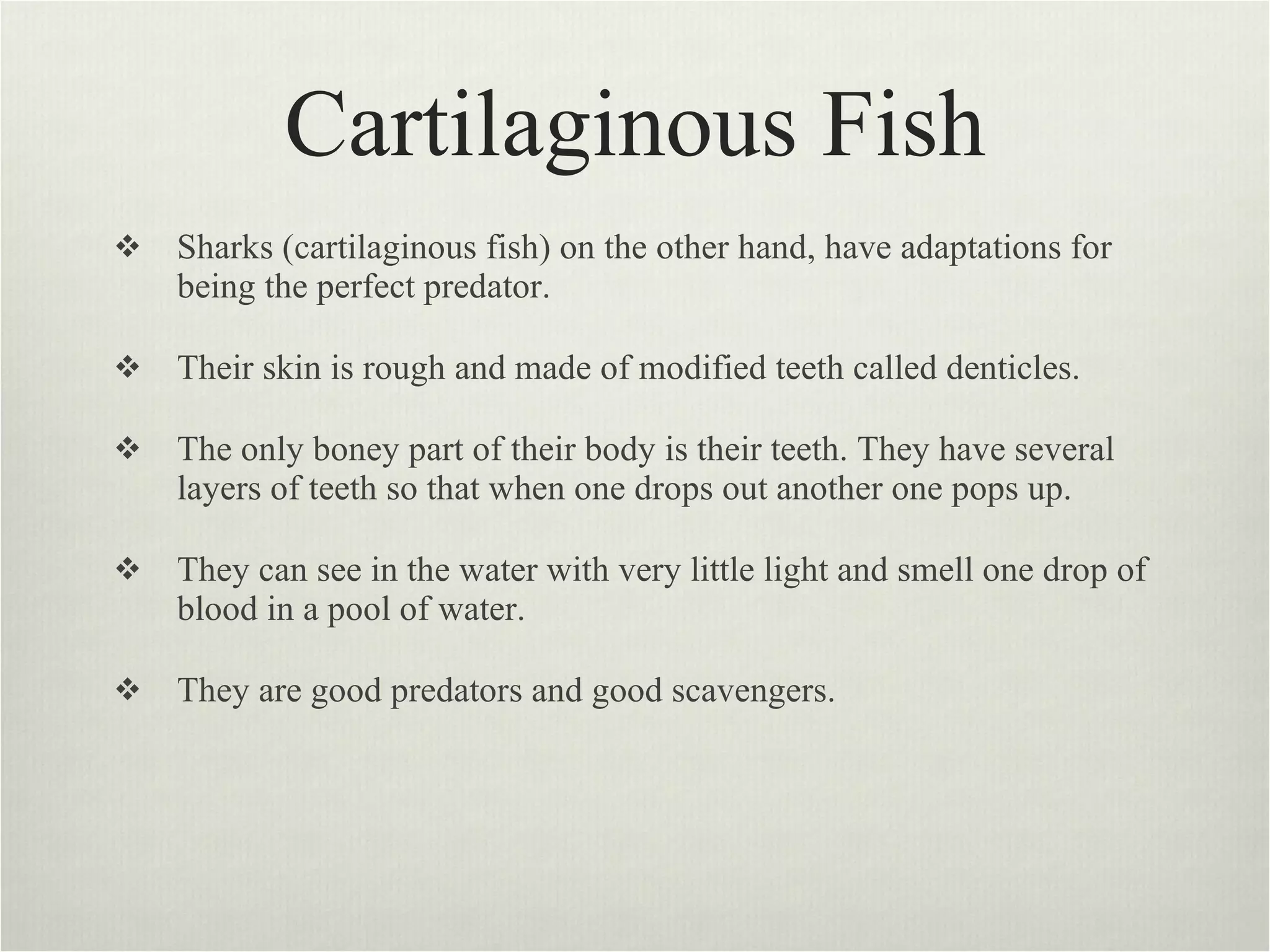 Cartilaginous Fish Sharks (cartilaginous fish) on the other hand, have adaptations for being the perfect predator.  Their skin is rough and made of modified teeth called denticles.  The only boney part of their body is their teeth. They have several layers of teeth so that when one drops out another one pops up.  They can see in the water with very little light and smell one drop of blood in a pool of water.  They are good predators and good scavengers.  