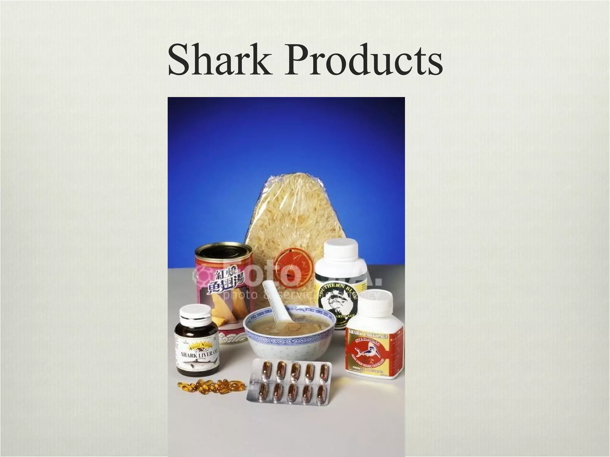 Shark Products 