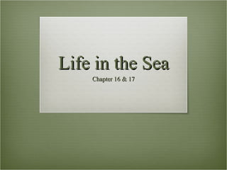 Life in the Sea Chapter 16 & 17 