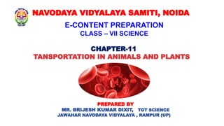 Ch 11 Transportation in Animals and Plants 1.pptx.pdf