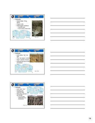 • Histosols
  – Greek histos, “living
    tissue”
  – Organic soils
  – Waterlogged conditions
     • Glaciated areas
     • Poorly drained coastal areas




                                      - Fig. 12-31




• Aridisols
  – Latin aridus, “dry”; dry
    soils
  – Thin, low organic content
  – High in soluble minerals
  – Unproductive due to lack
    of moisture




                                      - Fig. 12-32




• Vertisols
  – Latin verto, “turn”
  – Swelling and
    cracking clays
  – Alternating wet and
    dry climate
     • Churning effect
       inhibits soil-horizon
       development




                  - Fig. 12-33




                                                     14
 
