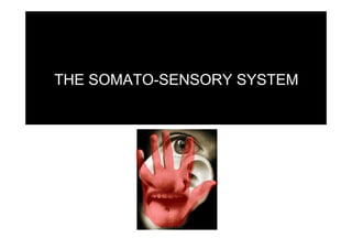 THE SOMATO-SENSORY SYSTEM
 