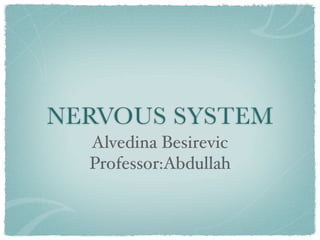 NERVOUS SYSTEM
  Alvedina Besirevic
  Professor:Abdullah
 