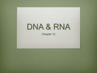 DNA & RNA
Chapter 12
 
