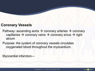 Copyright © F.A. Davis Company 2015
Coronary Vessels
Pathway: ascending aorta  coronary arteries  coronary
capillaries  coronary veins  coronary sinus  right
atrium
Purpose: the system of coronary vessels circulates
oxygenated blood throughout the myocardium.
Myocardial infarction—
 