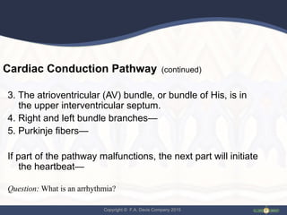 Copyright © F.A. Davis Company 2015
Cardiac Conduction Pathway (continued)
3. The atrioventricular (AV) bundle, or bundle of His, is in
the upper interventricular septum.
4. Right and left bundle branches—
5. Purkinje fibers—
If part of the pathway malfunctions, the next part will initiate
the heartbeat—
Question: What is an arrhythmia?
 