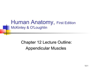 12-1
Human Anatomy, First Edition
McKinley & O'Loughlin
Chapter 12 Lecture Outline:
Appendicular Muscles
 