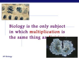 Biology is the only subject in which  multiplication  is the same thing as  division … 