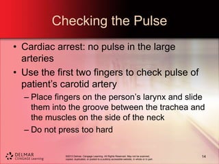 ©2013 Delmar, Cengage Learning. All Rights Reserved. May not be scanned,
copied, duplicated, or posted to a publicly accessible website, in whole or in part.
Checking the Pulse
• Cardiac arrest: no pulse in the large
arteries
• Use the first two fingers to check pulse of
patient’s carotid artery
– Place fingers on the person’s larynx and slide
them into the groove between the trachea and
the muscles on the side of the neck
– Do not press too hard
14
 