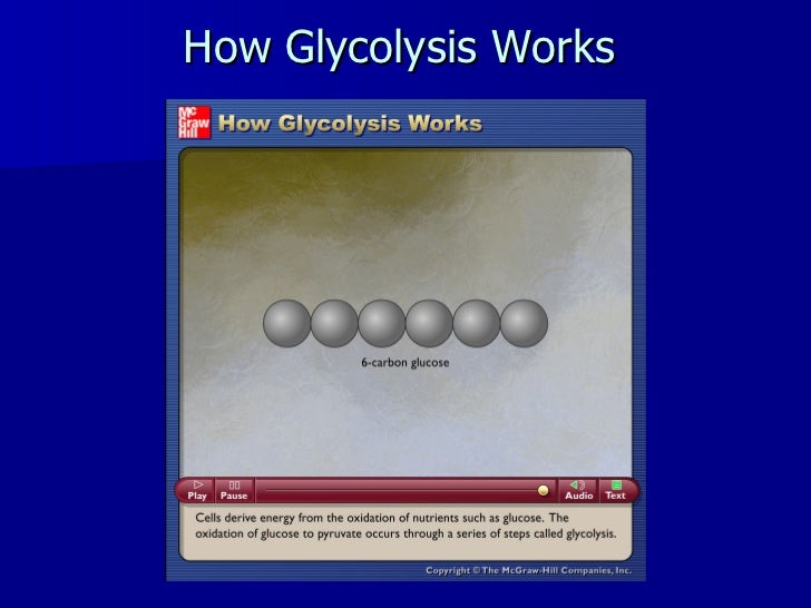 ch12 fitness sports how glycolysis works