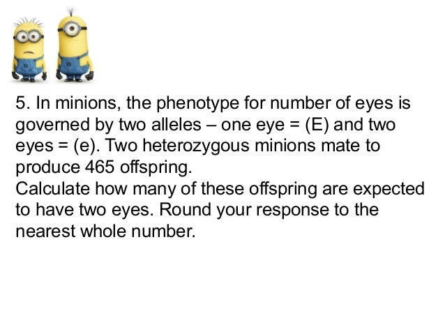 Ch 12 gene linkage groups and practice problems