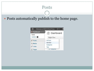 Posts
 Posts automatically publish to the home page.

 