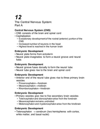 12 
The Central Nervous System: 
Part A 
Central Nervous System (CNS) 
• CNS consists of the brain and spinal cord 
• Cephalization 
• Evolutionary development of the rostral (anterior) portion of the 
CNS 
• Increased number of neurons in the head 
• Highest level is reached in the human brain 
Embryonic Development 
• Neural plate forms from ectoderm 
• Neural plate invaginates to form a neural groove and neural 
folds 
Embryonic Development 
• Neural groove fuses dorsally to form the neural tube 
• Neural tube gives rise to the brain and spinal cord 
Embryonic Development 
• Anterior end of the neural tube gives rise to three primary brain 
vesicles 
• Prosencephalon—forebrain 
• Mesencephalon—midbrain 
• Rhombencephalon—hindbrain 
Embryonic Development 
• Primary vesicles give rise to five secondary brain vesicles 
• Telencephalon and diencephalon arise from the forebrain 
• Mesencephalon remains undivided 
• Metencephalon and myelencephalon arise from the hindbrain 
Embryonic Development 
• Telencephalon  cerebrum (two hemispheres with cortex, 
white matter, and basal nuclei) 
 