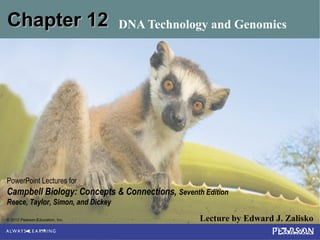 Chapter 12

DNA Technology and Genomics

PowerPoint Lectures for

Campbell Biology: Concepts & Connections, Seventh Edition
Reece, Taylor, Simon, and Dickey
© 2012 Pearson Education, Inc.

Lecture by Edward J. Zalisko

 