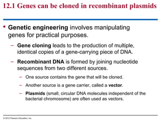 12.1 Genes can be cloned in recombinant plasmids
 Genetic engineering involves manipulating
genes for practical purposes.
– Gene cloning leads to the production of multiple,
identical copies of a gene-carrying piece of DNA.
– Recombinant DNA is formed by joining nucleotide
sequences from two different sources.
– One source contains the gene that will be cloned.
– Another source is a gene carrier, called a vector.
– Plasmids (small, circular DNA molecules independent of the
bacterial chromosome) are often used as vectors.

© 2012 Pearson Education, Inc.

 