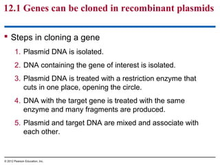 12.1 Genes can be cloned in recombinant plasmids
 Steps in cloning a gene
1. Plasmid DNA is isolated.
2. DNA containing the gene of interest is isolated.
3. Plasmid DNA is treated with a restriction enzyme that
cuts in one place, opening the circle.
4. DNA with the target gene is treated with the same
enzyme and many fragments are produced.
5. Plasmid and target DNA are mixed and associate with
each other.

© 2012 Pearson Education, Inc.

 