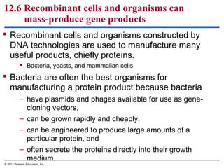 12.6 Recombinant cells and organisms can
mass-produce gene products
 Recombinant cells and organisms constructed by
DNA technologies are used to manufacture many
useful products, chiefly proteins.
 Bacteria, yeasts, and mammalian cells

 Bacteria are often the best organisms for
manufacturing a protein product because bacteria
– have plasmids and phages available for use as genecloning vectors,
– can be grown rapidly and cheaply,
– can be engineered to produce large amounts of a
particular protein, and
– often secrete the proteins directly into their growth
medium.
© 2012 Pearson Education, Inc.

 