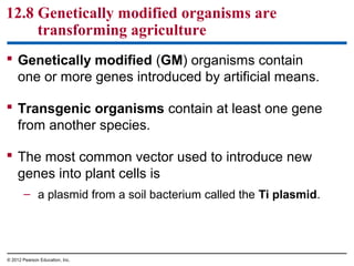 12.8 Genetically modified organisms are
transforming agriculture
 Genetically modified (GM) organisms contain
one or more genes introduced by artificial means.
 Transgenic organisms contain at least one gene
from another species.
 The most common vector used to introduce new
genes into plant cells is
– a plasmid from a soil bacterium called the Ti plasmid.

© 2012 Pearson Education, Inc.

 